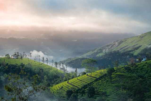 Valparai Athirapally Circuit